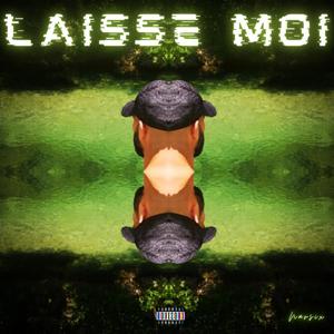 Laisse-moi