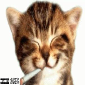 Fancy music (Explicit)
