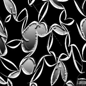 Fan Page (feat. Conch) (Explicit)