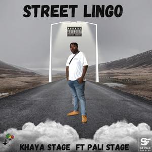 Street Lingo (feat. Pali stage ) [Explicit]