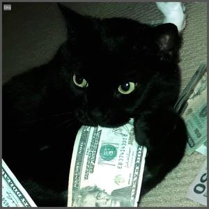 money m4n (Explicit)