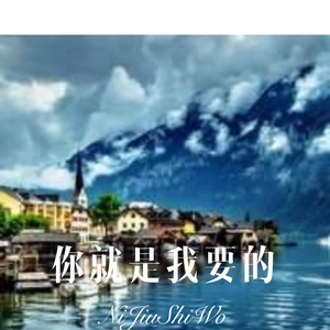 安礼 - 你就在我的歌声里 (DJ版)