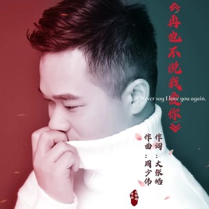 再也不说我爱你