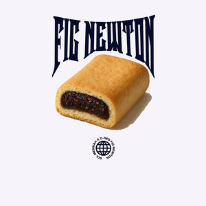 FIG NEWTON (Explicit)