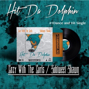 Hit da Dolphin (Explicit)