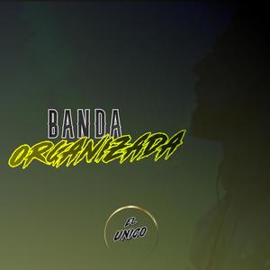 Banda Organizada