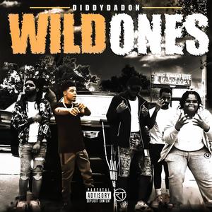 Wild Ones (Explicit)