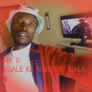 Kgale ke nwele bjala
