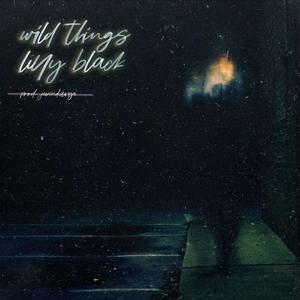 Wild Things (feat. Juandango)