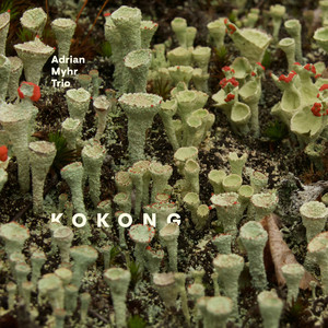 Kokong