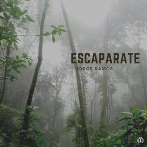 Escaparate