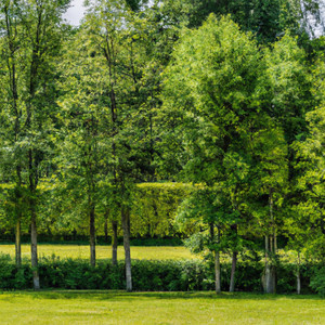 N'dake Ten (Explicit)