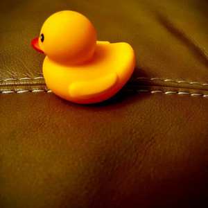 长不大的孩子——乐方舟