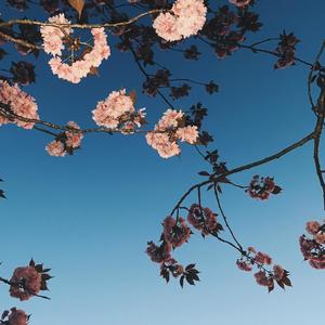 Pokar 489 - Gamble (Explicit)