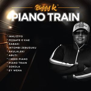 Piano Train