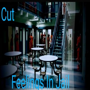 Feelings in Jail (Explicit)