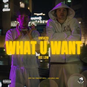 What U Want (Explicit)