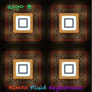 HumAn Fluid Keybotronic