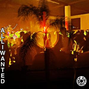 All I Wanted (feat. Ali Amelia) (Explicit)