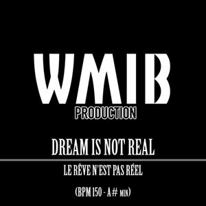 Dream Is Not Real Beat(WMIB PROD)