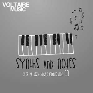 Synths and Notes, Vol. 11