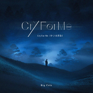 Cry For Me (中文重置版)