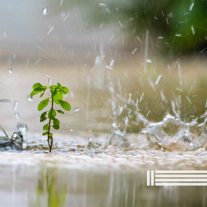 睡觉的雨声（可循环播放）