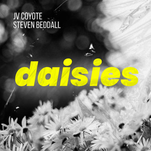 Daisies (Instrumental Version)