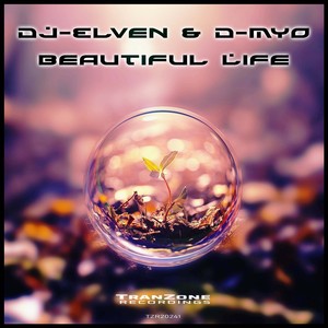 Beautiful Life (Extended Edit)
