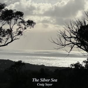 The Silver Sea