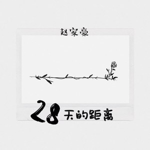 28天的距离