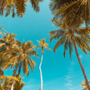 Makin Moves(Golden Ratio)