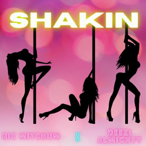 Shakin (Explicit)