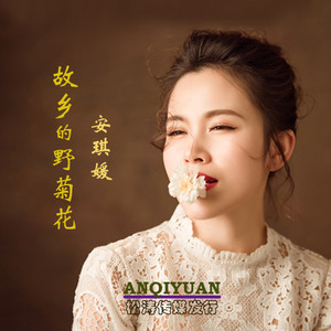 故乡的野菊花－安琪媛