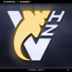 CONNECT (Original Mix)