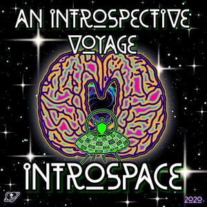 An Introspective Voyage