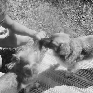 Not That Kind (Explicit)