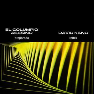 Preparada (Remix)