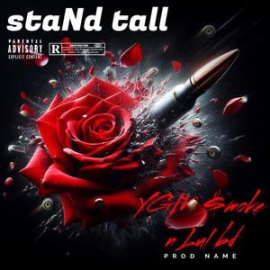 staNd tall (feat. YGM $moke) (Explicit)
