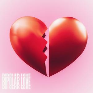 Bipolar Love (Explicit)