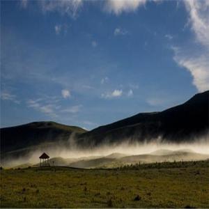 主播鲸娱2 - 寂寞缭绕随风荡漾