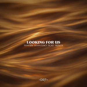 Looking For Us (feat. WINCK)