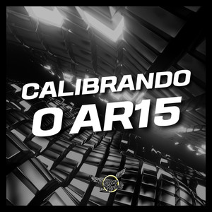 Calibrando o AR15