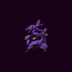 Veneno (feat. ANGEL MUERTX) (Explicit)