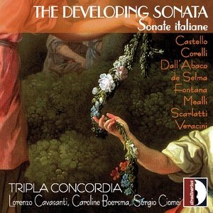 The Developing Sonata