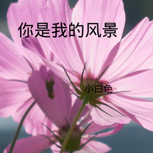 你好陌生人 (DJ版)