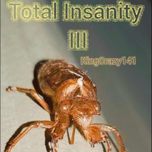 Total Insanity III (Explicit)