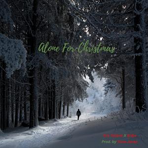 Alone For Christmas