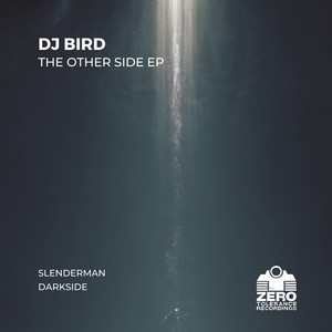DJ Bird - Darkside