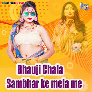 Bhauji Chala Sambhar ke mela me